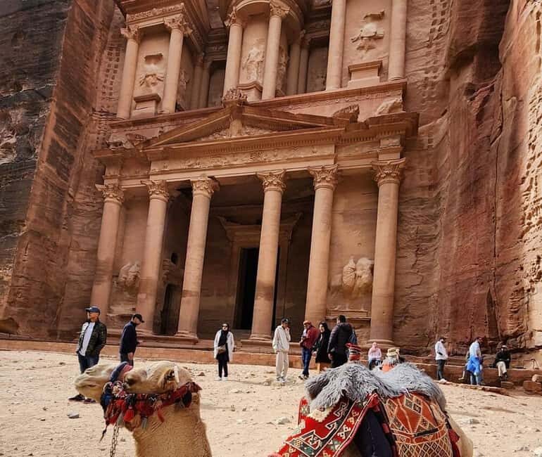"From Amman:2-Days To Petra&Wadi Rum&Dead Sea Back To Amman" - Transportation & Logistics: Comfort and Convenience