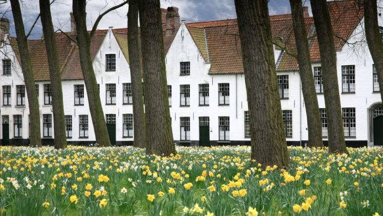 from-amsterdam-bruges-guided-day-trip-in-english