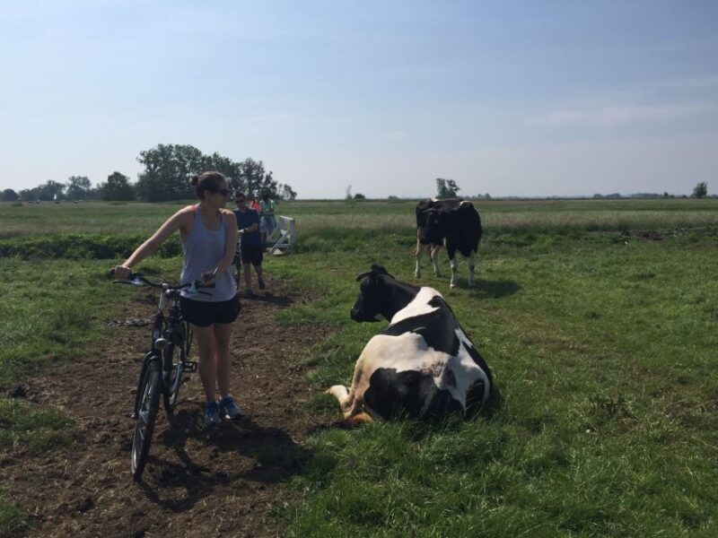 from-amsterdam-countryside-bike-tour