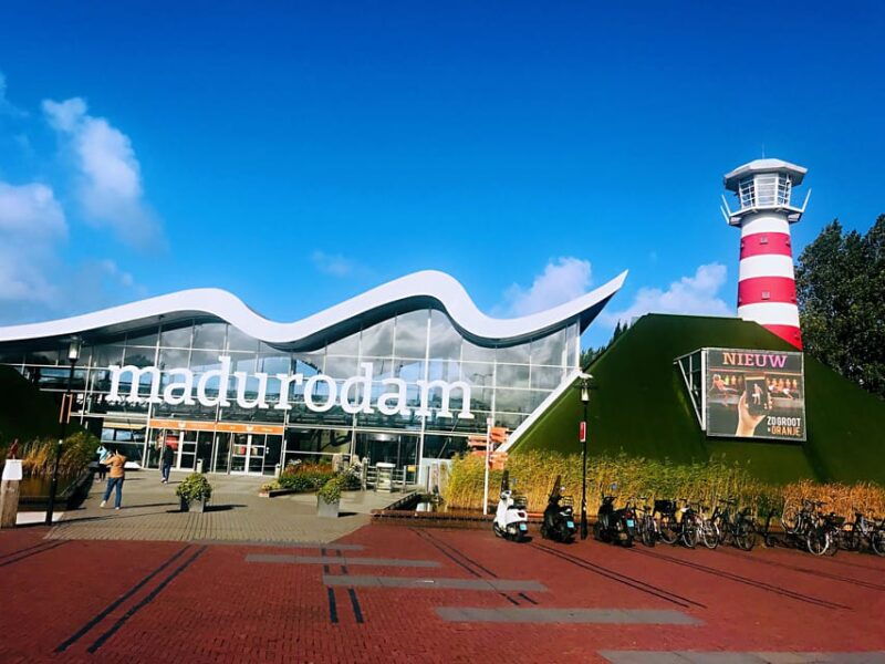 from-amsterdam-day-tour-to-rotterdam-delft-and-the-hague