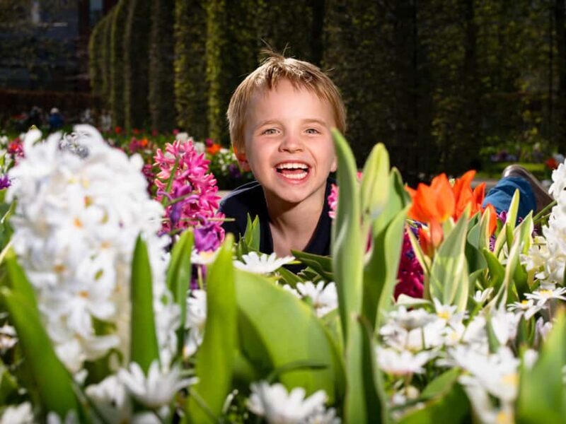 From Amsterdam: Day Trip Madurodam and Keukenhof Gardens - The Sum Up