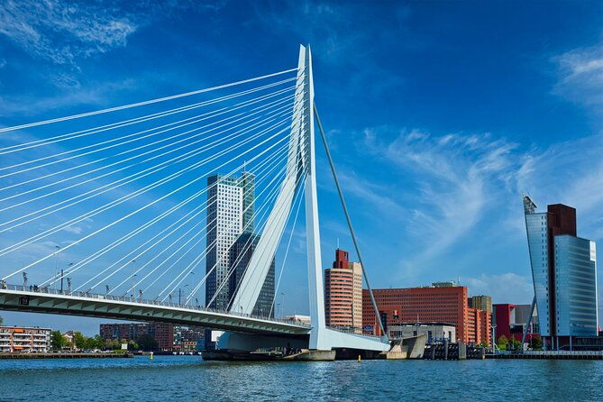 from-amsterdam-day-trip-to-rotterdam-delft-hague-with-cruise