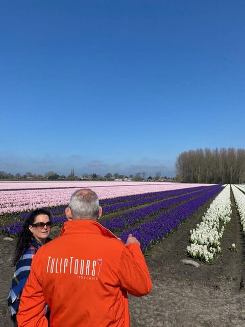 from-amsterdam-early-flower-day-tour-with-lunch-windmill
