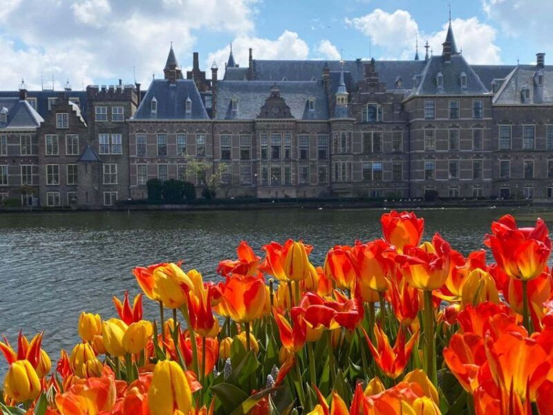 from-amsterdam-guided-trip-to-rotterdam-delft-the-hague