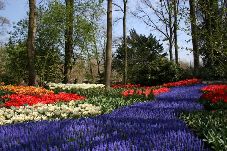 from-amsterdam-keukenhof-and-haarlem-full-day-guided-tour
