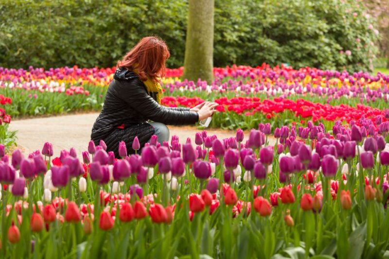 from-amsterdam-keukenhof-day-trip-and-optional-canal-cruise