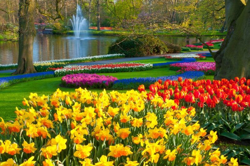from-amsterdam-keukenhof-day-trip-and-optional-canal-cruise