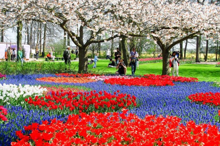 from-amsterdam-keukenhof-day-trip-and-optional-canal-cruise
