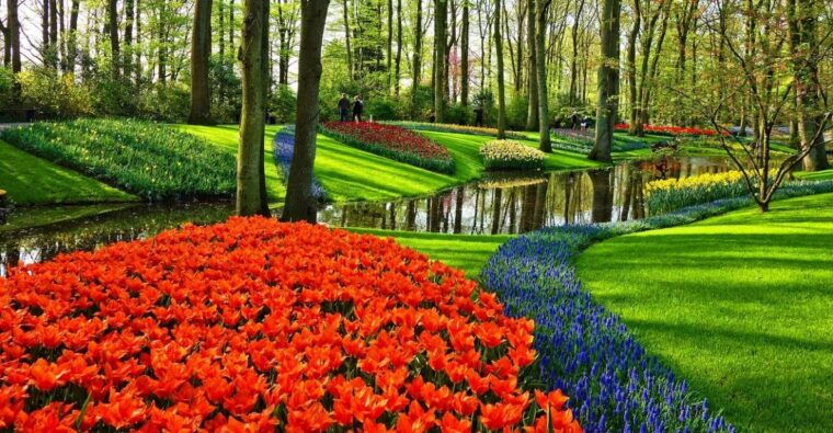 from-amsterdam-keukenhof-gardens-and-giethoorn-tour