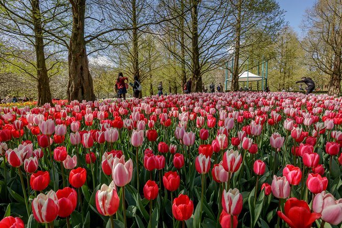 From Amsterdam: Keukenhof Gardens Ticket and Transfer - FAQ