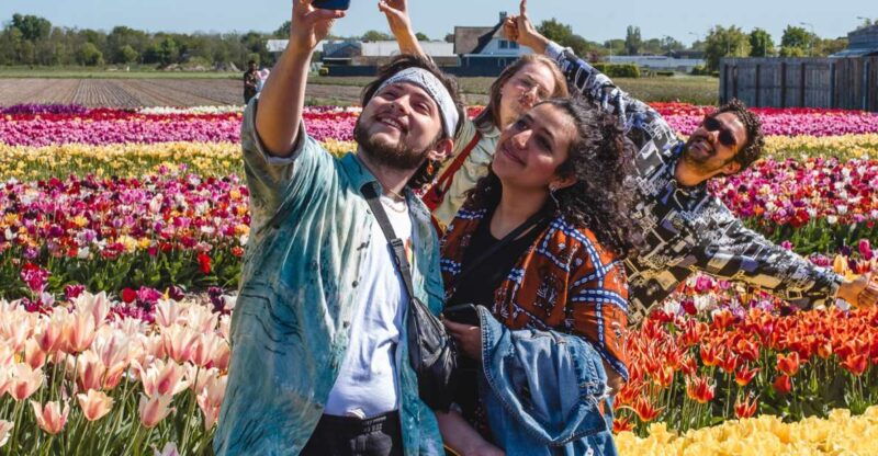 from-amsterdam-keukenhof-gardens-tulip-experience-tour