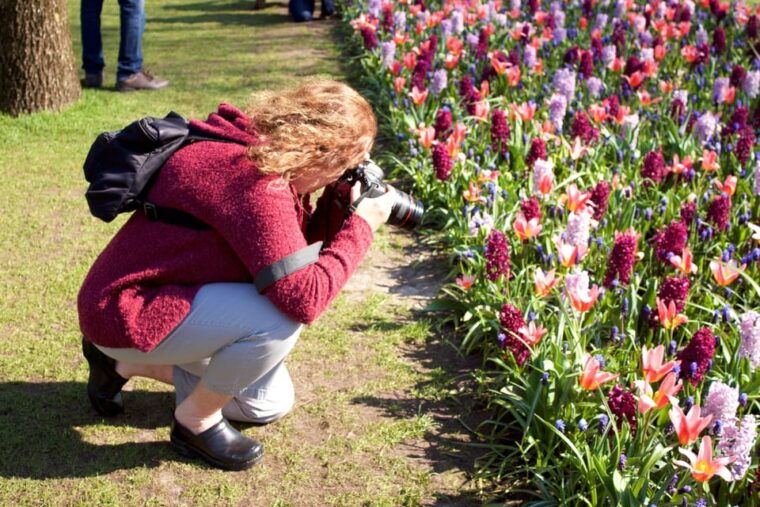 from-amsterdam-keukenhof-tulips-windmills-volendam
