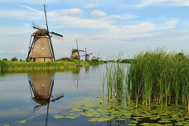 from-amsterdam-kinderdijk-and-the-hague-tour-with-museums