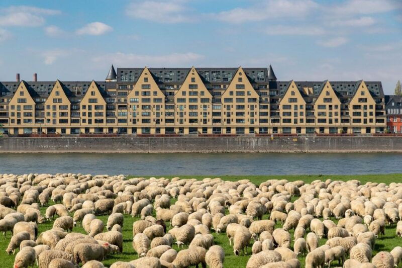 from-amsterdam-private-sightseeing-day-trip-to-cologne