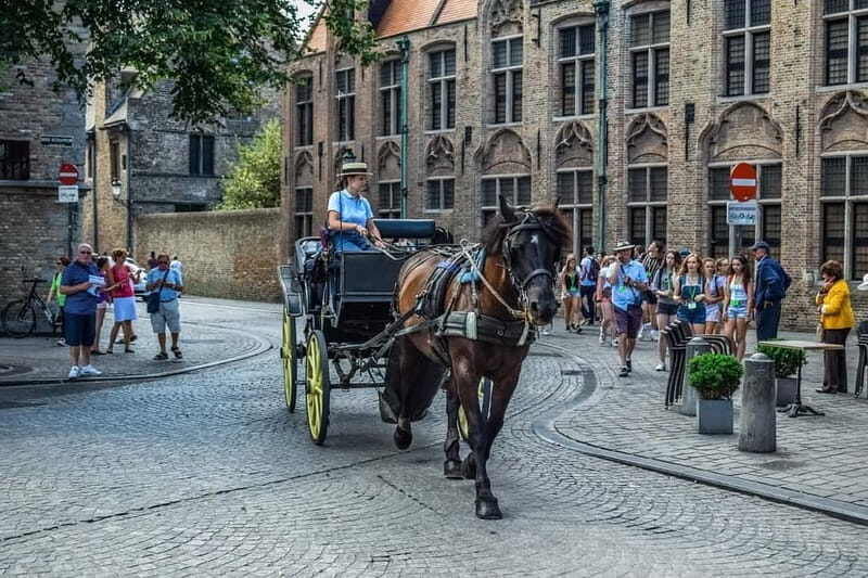 From Amsterdam: Private Sightseeing Tour to Bruges - A Detailed Look at the Bruges Private Day Trip