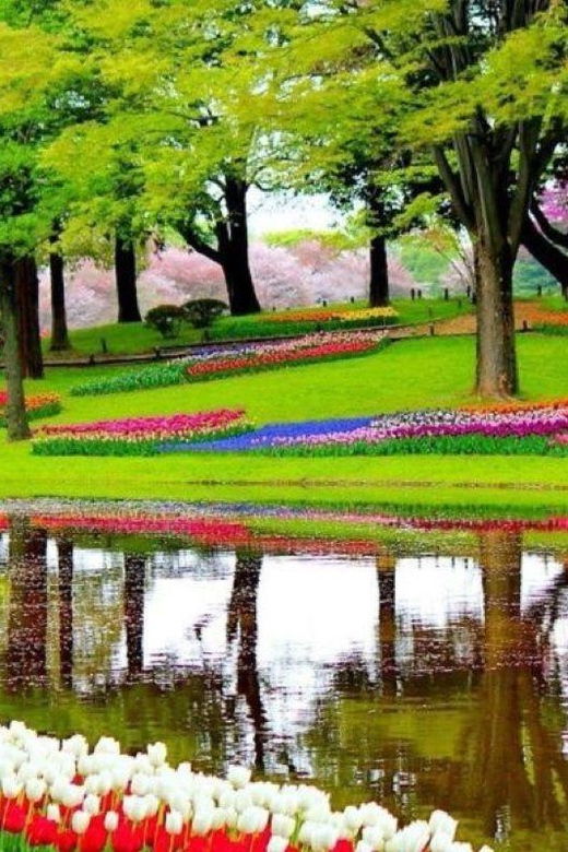 from-amsterdam-private-tour-to-the-keukenhof-and-madurodam