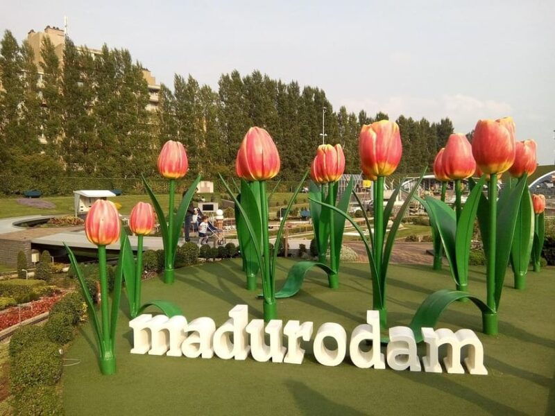 from-amsterdam-private-tour-to-the-keukenhof-and-madurodam