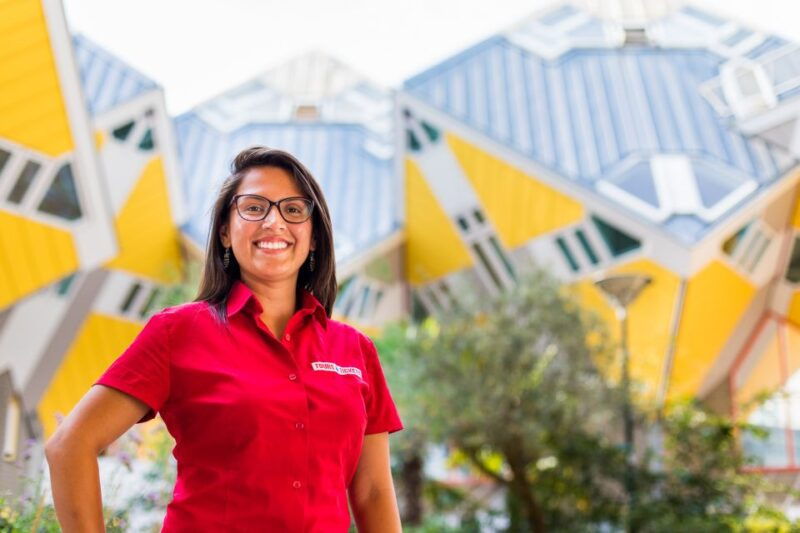 from-amsterdam-rotterdam-delft-the-hague-guided-day-tour