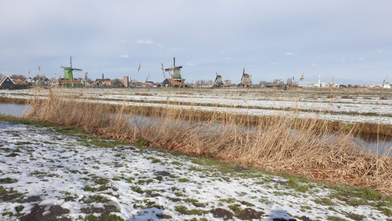 from-amsterdam-small-group-zaanse-schans-and-volendam-tour