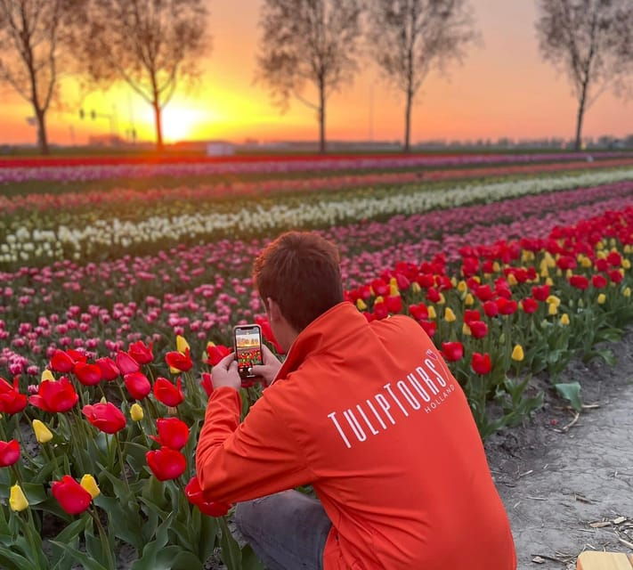 from-amsterdam-the-tulip-sunset-tour-with-dinner