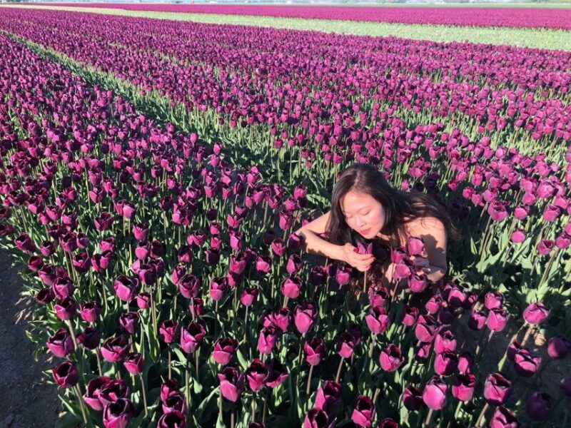 from-amsterdam-tulip-tour-keukenhof-city-tour-delft