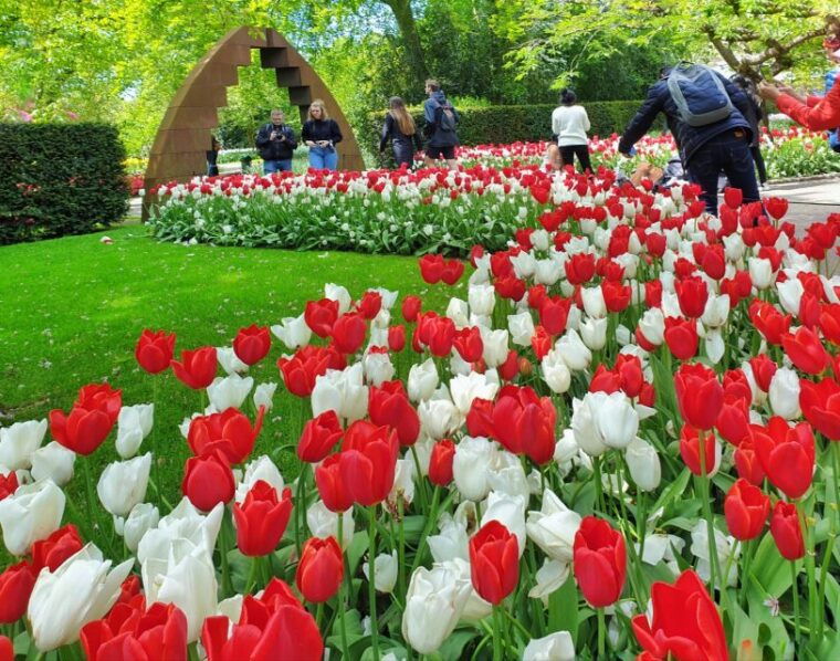 from-amsterdam-tulip-tour-keukenhof-city-tour-delft