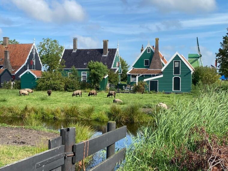 from-amsterdam-visit-zaanse-schans-muiderslot-and-more