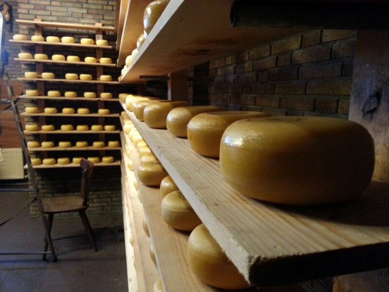 from-amsterdam-windmills-of-zaanse-schans-tour-in-spanish