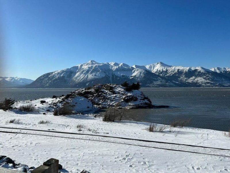 from-anchorage-alaska-wildlife-center-turnagain-arm-tour