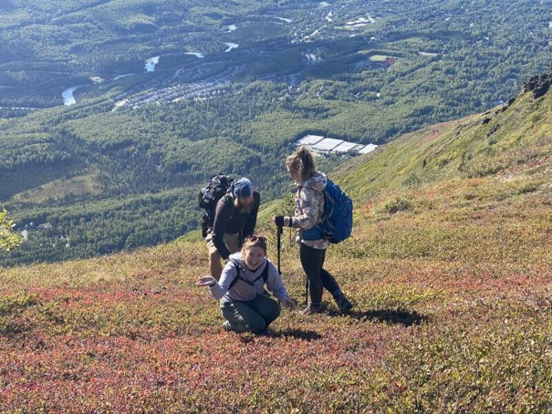 from-anchorage-chugach-state-park-guided-alpine-trek