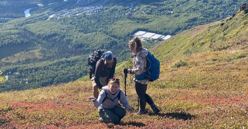 from-anchorage-chugach-state-park-guided-alpine-trek