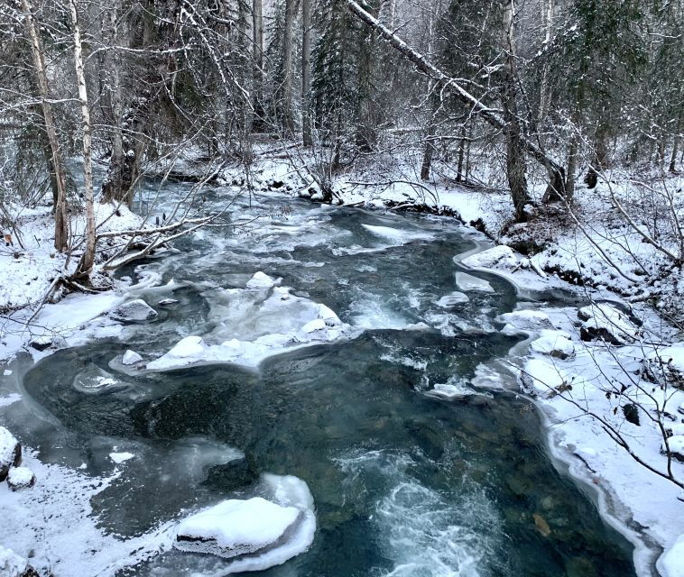 from-anchorage-chugach-state-park-winter-walking-tour