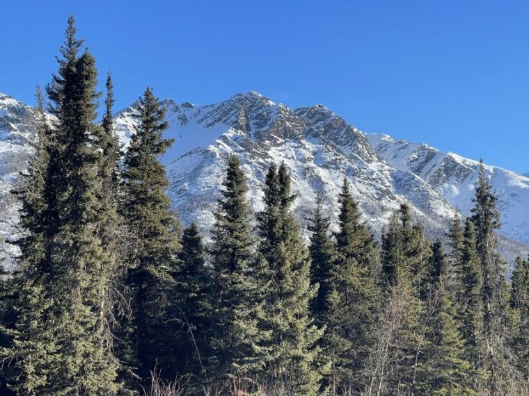 from-anchorage-chugach-state-park-winter-walking-tour