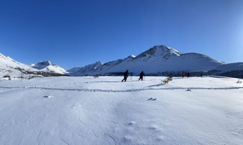 from-anchorage-glen-alps-beginners-snowshoeing-adventure