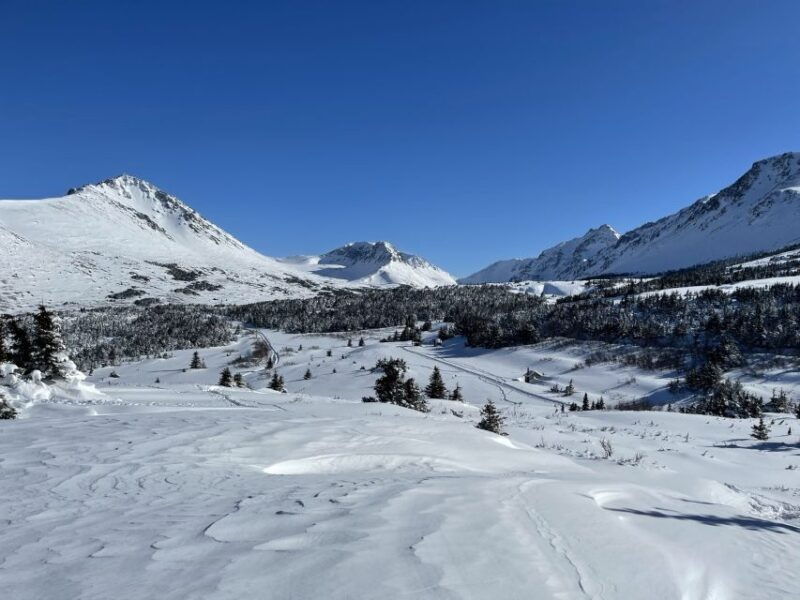 from-anchorage-glen-alps-beginners-snowshoeing-adventure