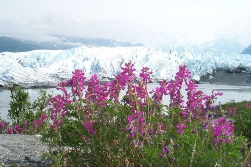 from-anchorage-matanuska-glacier-winter-tour-with-lunch