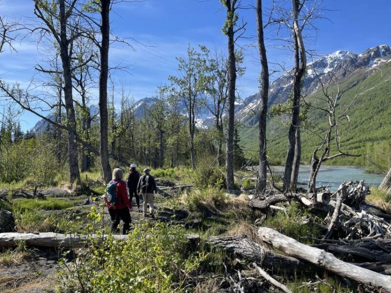 from-anchorage-valley-and-forest-hike-with-naturalist-guide