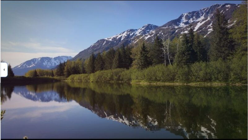from-anchorage-wilderness-wildlife-glacier-experience