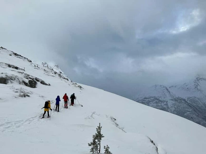 From Åndalsnes: Cable Car and Nesaksla Snowshoe Hike - Is This Tour Worth the Price?  