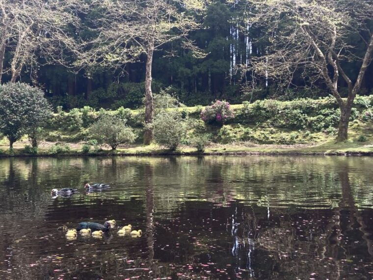 from-angra-terceira-island-full-day-tour-2