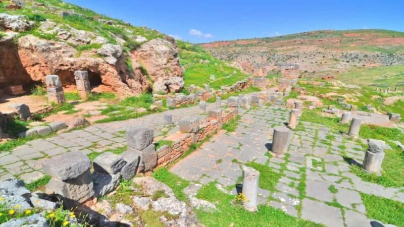 From Annaba: Tiddis Roman Ruins Tour with Lunch - Key Points