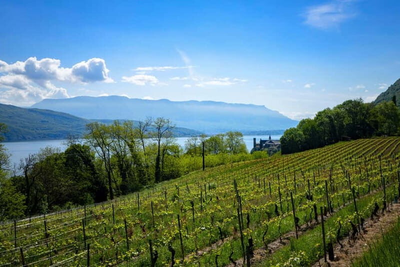 From Annecy: Chambotte, Mont Revard & Biodynamic Wine Tasting - Exploring the Savoie Region: What You Can Expect