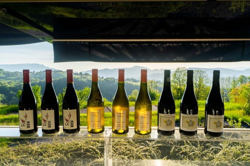From Annecy: Chambotte, Mont Revard & Biodynamic Wine Tasting - The Sum Up