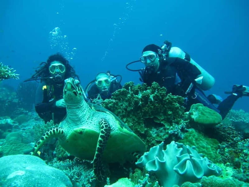 From Antalya: Scuba Diving With Lunch and Transfer - An Honest Look at the Experience