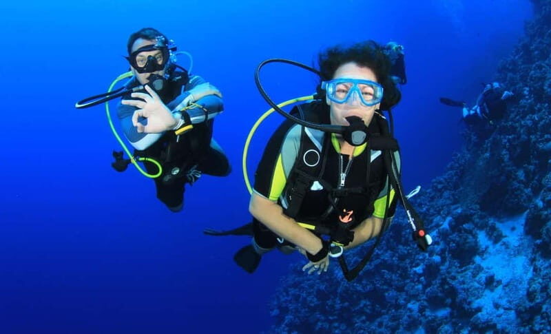 From Antalya: Scuba Diving With Lunch and Transfer - Who Is This Tour Best Suited For?  