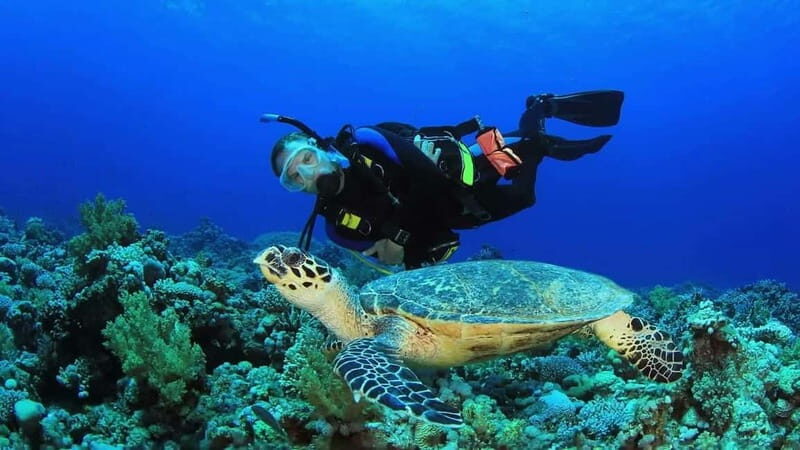 From Antalya: Scuba Diving With Lunch and Transfer - Final Thoughts: Why This Tour Offers Good Value  