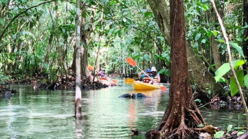 From Ao Nang: Kayaking at Klong Rud With Hotel Transfers - Included and Additional Charges