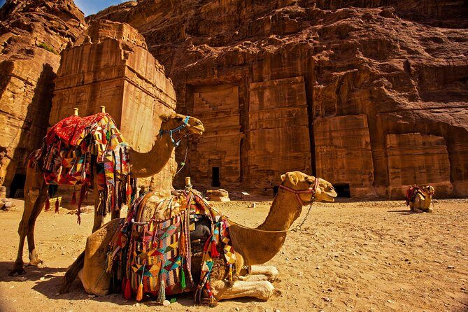 From Aqaba a Day Excursion to Petra - Key Points