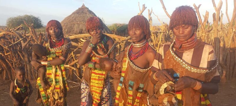 From Arbaminch: 5 Days Omo Valley Tribal Tours - Who Is This Tour Best For?