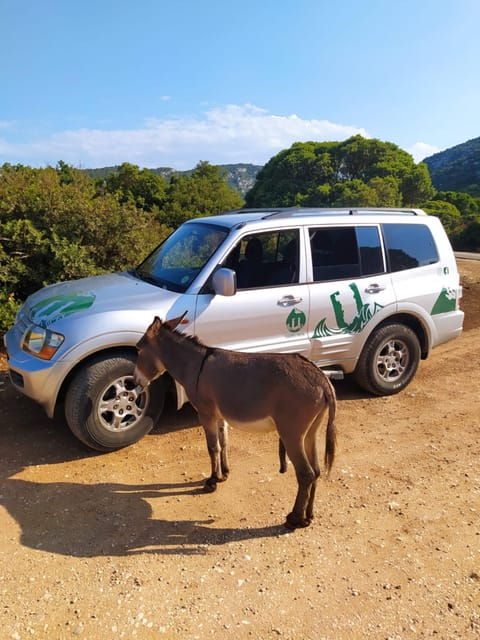 from-arbatax-4hour-jeep-tour-of-the-golgo-plateau-in-baunei